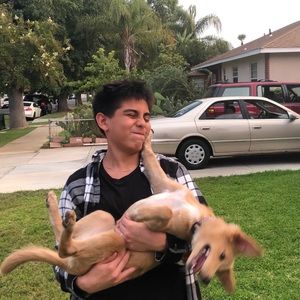 Meet your Posher, William